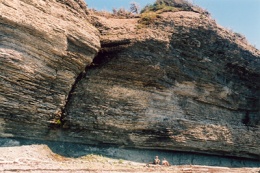 Falaise fossilifère, Anse aux Fraises, 2002. © Geneviève Brisson