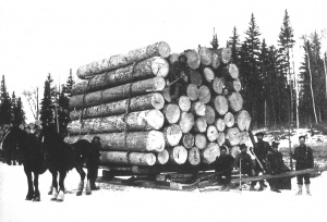 The lumber industry reached its peak during the second half of the 19th century.
