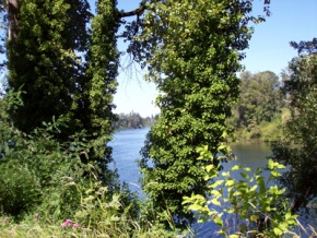 Rivière Willamette River à Champoeg © Catherine Jetté