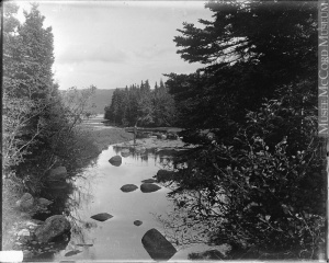A brook near Baie Sainte-Anne, NS, circa 1915 (?)
