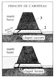 The mechanics of an Aboiteau-style dike and sluice