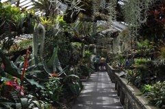 The Tropical Rainforests Conservatory