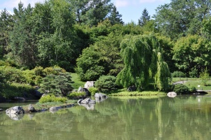 Pond at the Botanical Garden