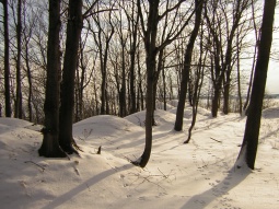 Les embrasures à canon du fort Jacques-Cartier