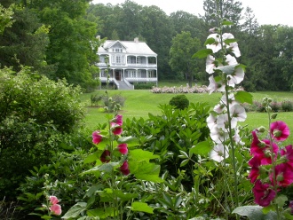 The manor and its bed of hollyhocks