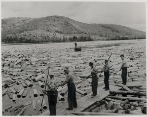 Log drivers on the Saint John River in 1957