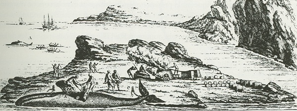 Illustration représentant un établissement côtier destiné à la fonte des graisses de baleines.
