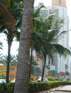 Christmas decoration hanging discreetly from a palm tree 