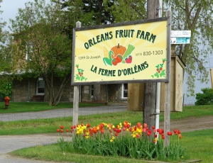 La ferme dOrléans, à Ottawa (Ont.)
