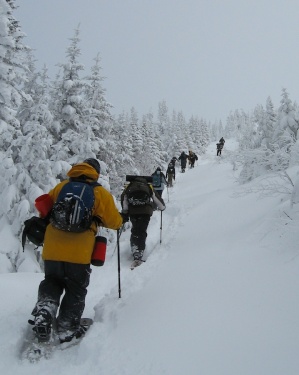 Expédition en raquettes dans le parc national de la Gaspésie, 2008