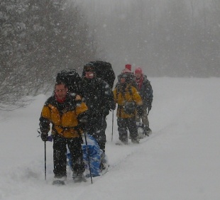 Excursion hivernale dans le parc national de la Gaspésie